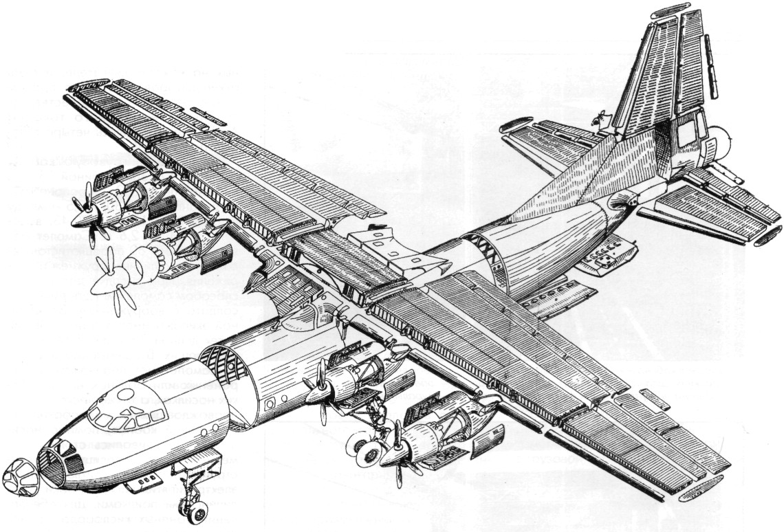An-12015.jpg