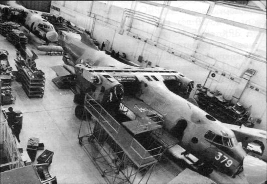 100YSrb033.jpg