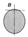 A4SkyHok056.jpg