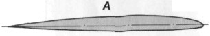 A4SkyHok086.jpg