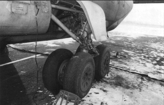 An-12032.jpg