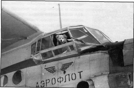 CivAvKam051.jpg