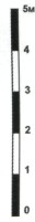 MBRR16037.jpg
