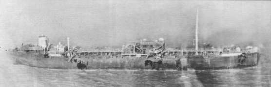 Tu22PltM030.jpg