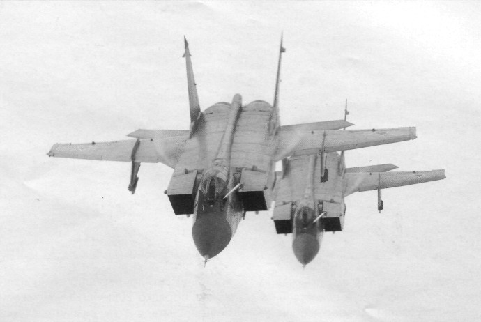 MiG-31013.jpg