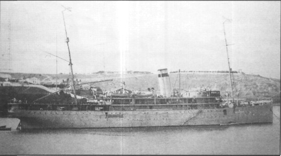 SeeAvibg064.jpg