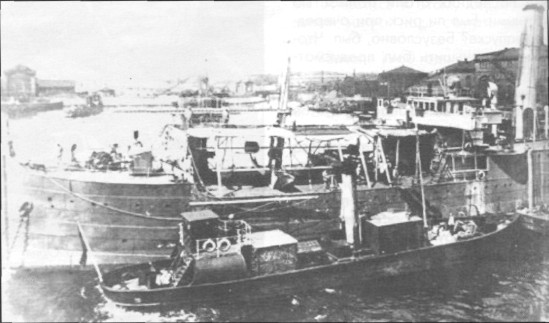 SeeAvibg067.jpg