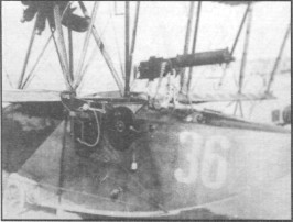 SeeAvibg074.jpg
