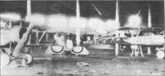 SeeAvibg077.jpg