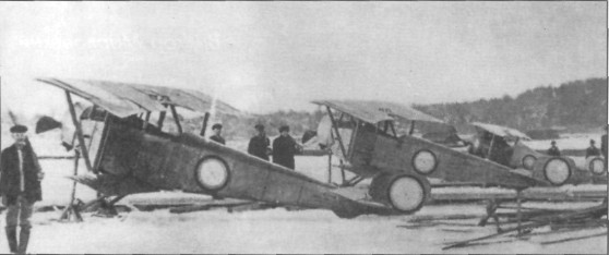 SeeAvibg082.jpg