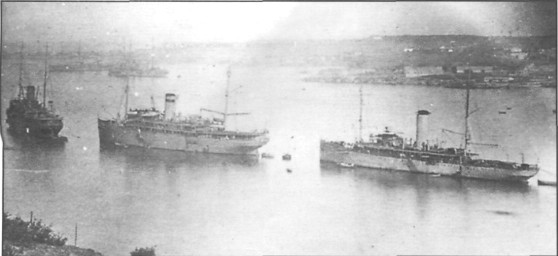 SeeAvibg086.jpg