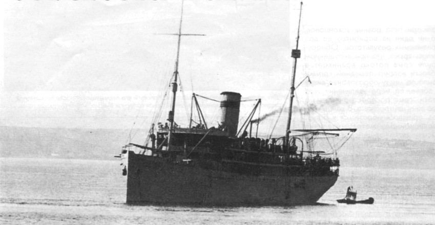 SeeAvibg090.jpg