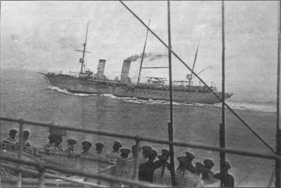SeeAvibg091.jpg