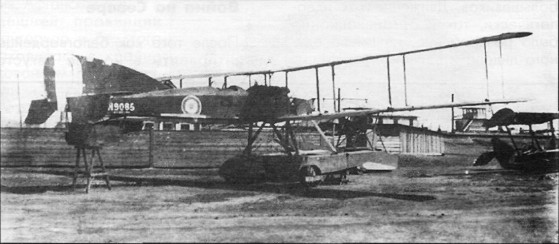 SeeAvibg102.jpg