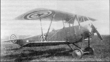 SeeAvibg104.jpg