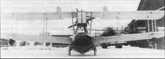 SeeAvibg113.jpg