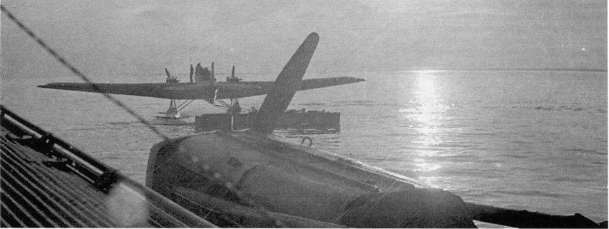 SeeAvibg116.jpg
