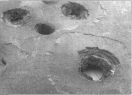 Ampulome025.jpg