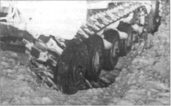 NewSnee030.jpg