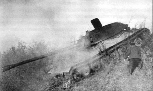 SuSchwPz227.jpg